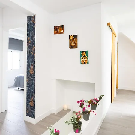 Homestay szállás Serendipity Fm Icod de los Vinos